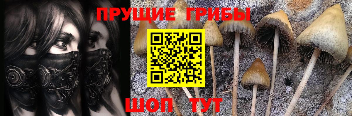 Псилоцибиновые грибы ЛСД  Галлюциногенные грибы Psilocybine cubensis  Крымск  Вход с VPN 