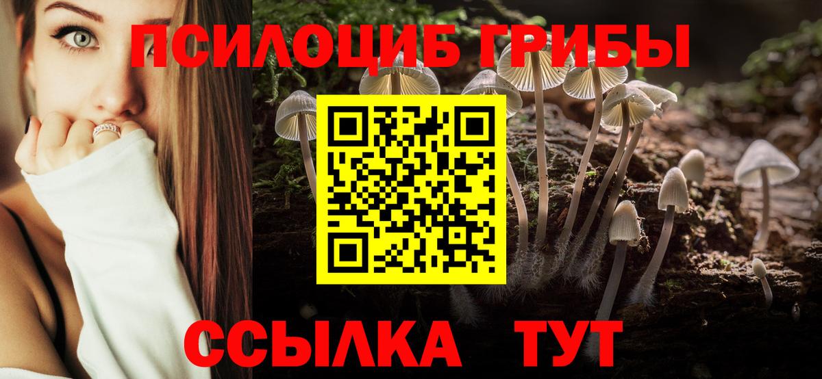 Псилоцибиновые грибы Psilocybine cubensis Крымск